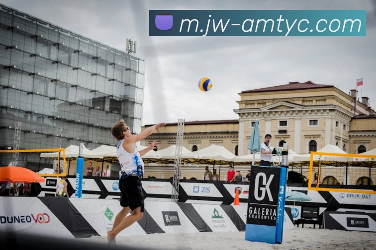 App Interface Preview