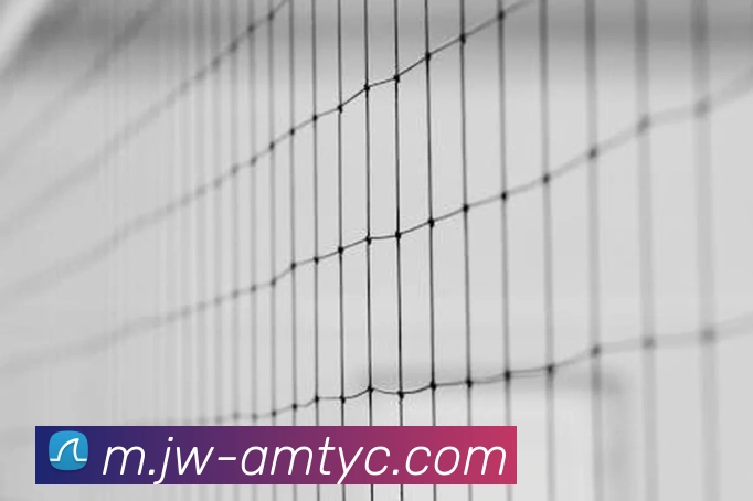 太阳城网站APP 封面图